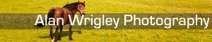 Alan Wrigley Photography